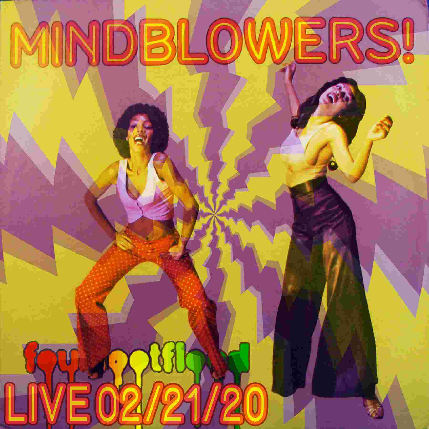 https://pbcdn1.podbean.com/imglogo/ep-logo/pbblog206165/FFF-LIVE-02_21_20-MINDBLOWERS.jpg