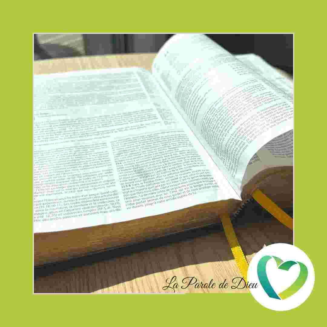 https://pbcdn1.podbean.com/imglogo/ep-logo/pbblog20995518/laParoledeDieu.jpg