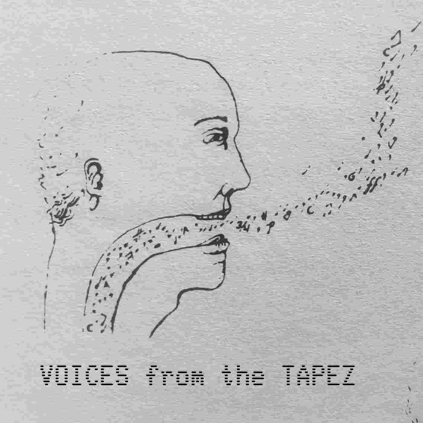https://pbcdn1.podbean.com/imglogo/ep-logo/pbblog21277597/Voices_from_the_Tapez.jpg