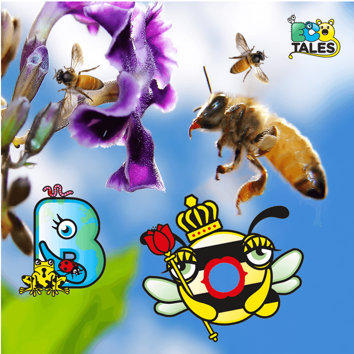 https://pbcdn1.podbean.com/imglogo/ep-logo/pbblog2893389/Seeds_For_Bees.png