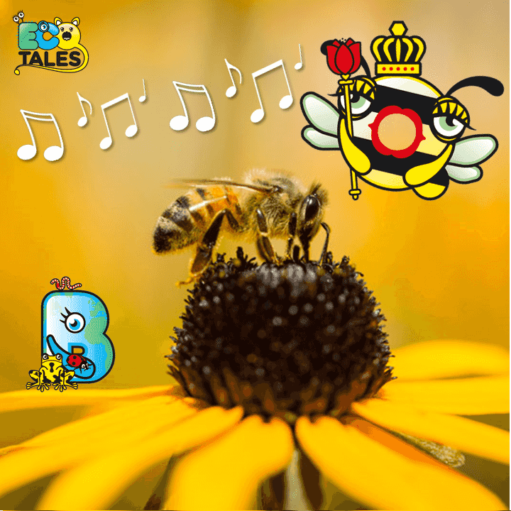 https://pbcdn1.podbean.com/imglogo/ep-logo/pbblog2893389/Seeds_For_Bees_song.png
