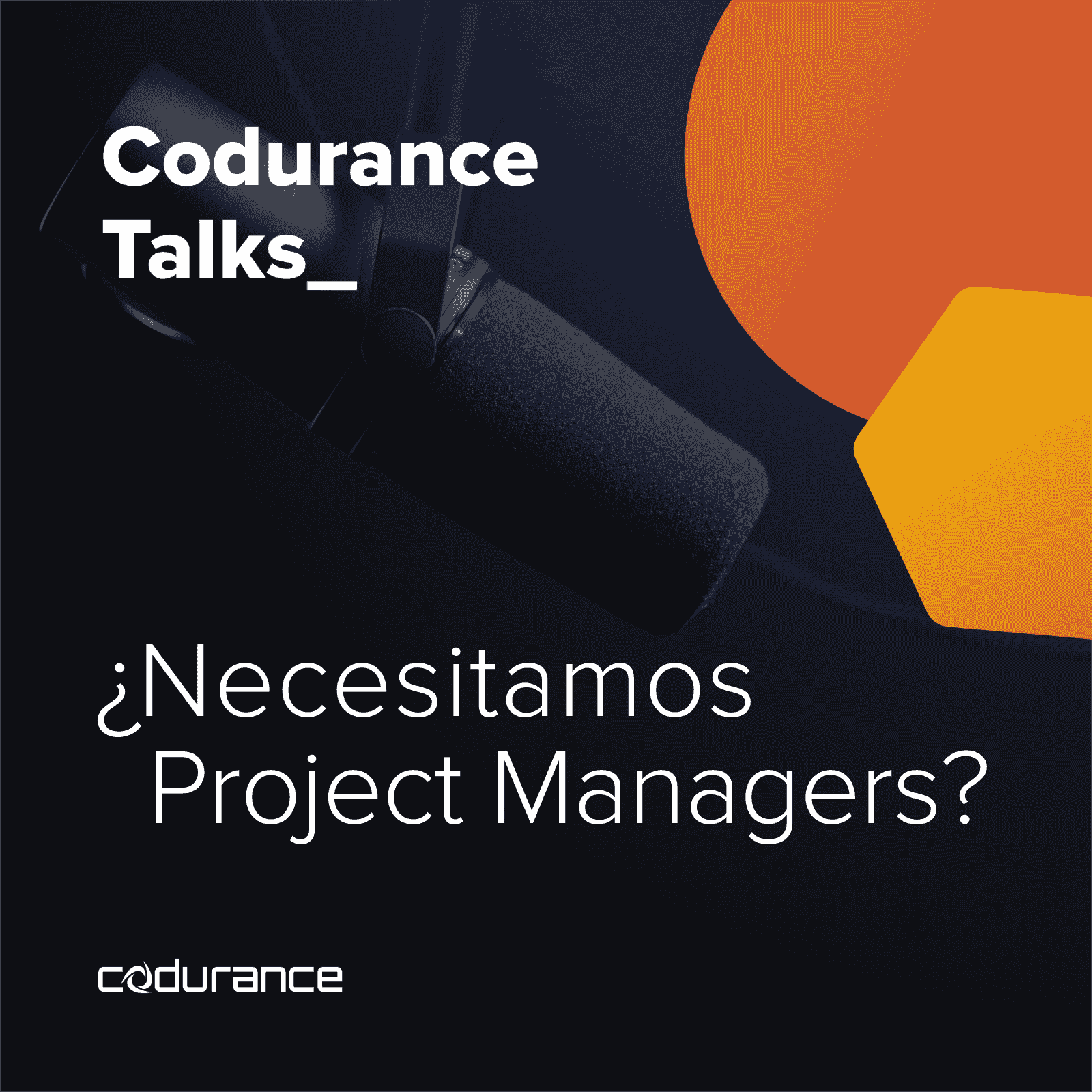 https://pbcdn1.podbean.com/imglogo/ep-logo/pbblog3402152/_Necesitamos_Project_Managers9orf4.png