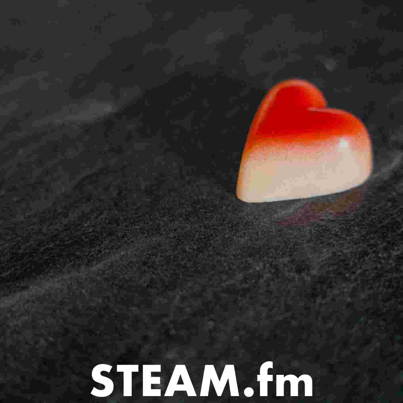 https://pbcdn1.podbean.com/imglogo/ep-logo/pbblog348623/STEAM-207.jpg