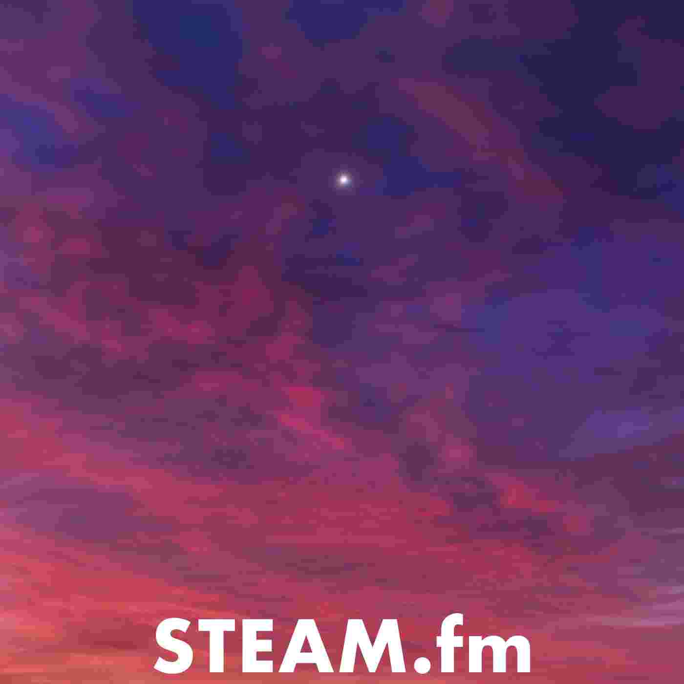 https://pbcdn1.podbean.com/imglogo/ep-logo/pbblog348623/STEAM-213.jpg