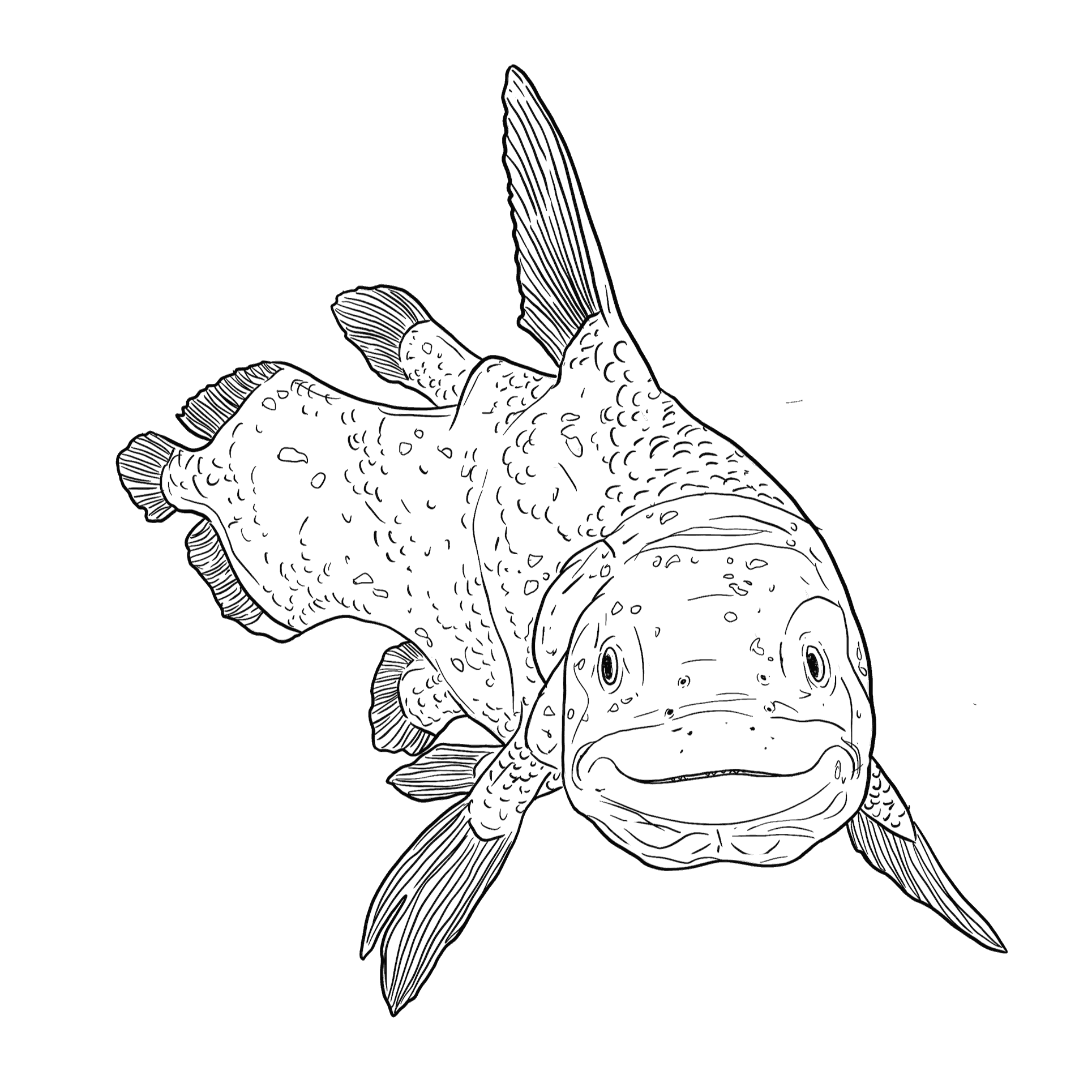 https://pbcdn1.podbean.com/imglogo/ep-logo/pbblog3905934/Coelacanth-VftO-June2022_fbkeuh.png
