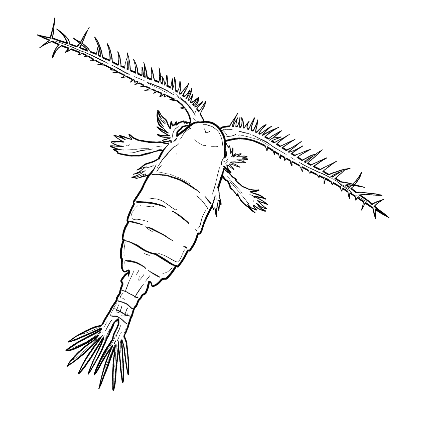 https://pbcdn1.podbean.com/imglogo/ep-logo/pbblog3905934/Copepod-VftO-June2022_w6xnph.png