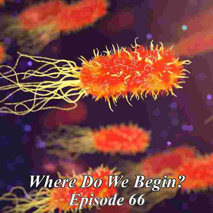 https://pbcdn1.podbean.com/imglogo/ep-logo/pbblog3981511/Where_do_we_begin_ep66.jpg