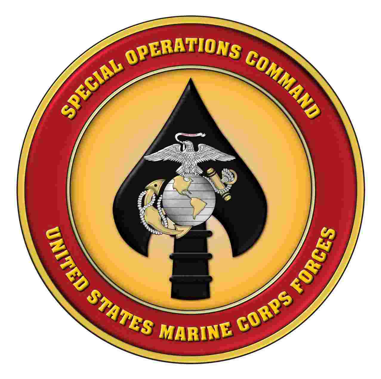 https://pbcdn1.podbean.com/imglogo/ep-logo/pbblog4477316/MARSOC_Emblem.jpg