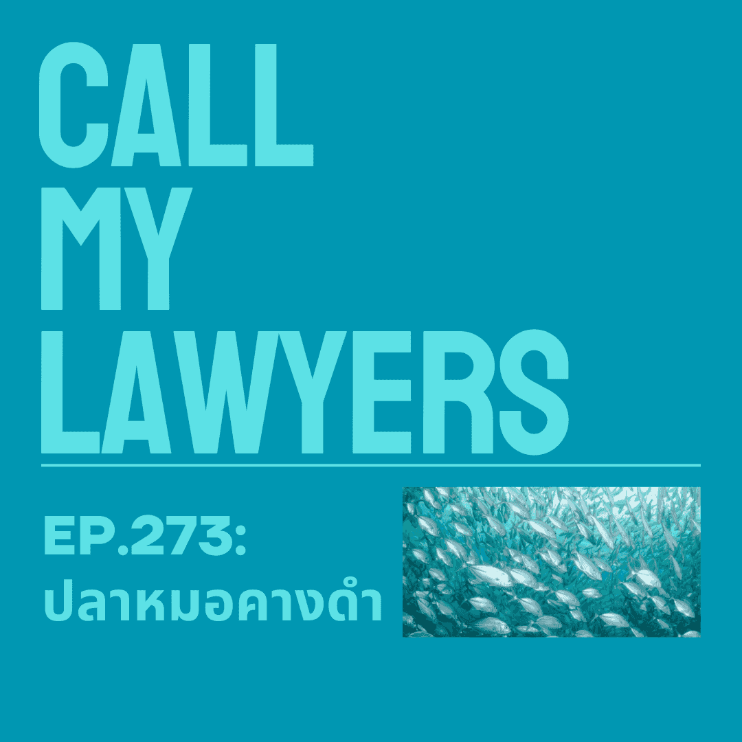 https://pbcdn1.podbean.com/imglogo/ep-logo/pbblog4742168/Copy_of_Copy_of_Call_My_LAWYERS8sell.png