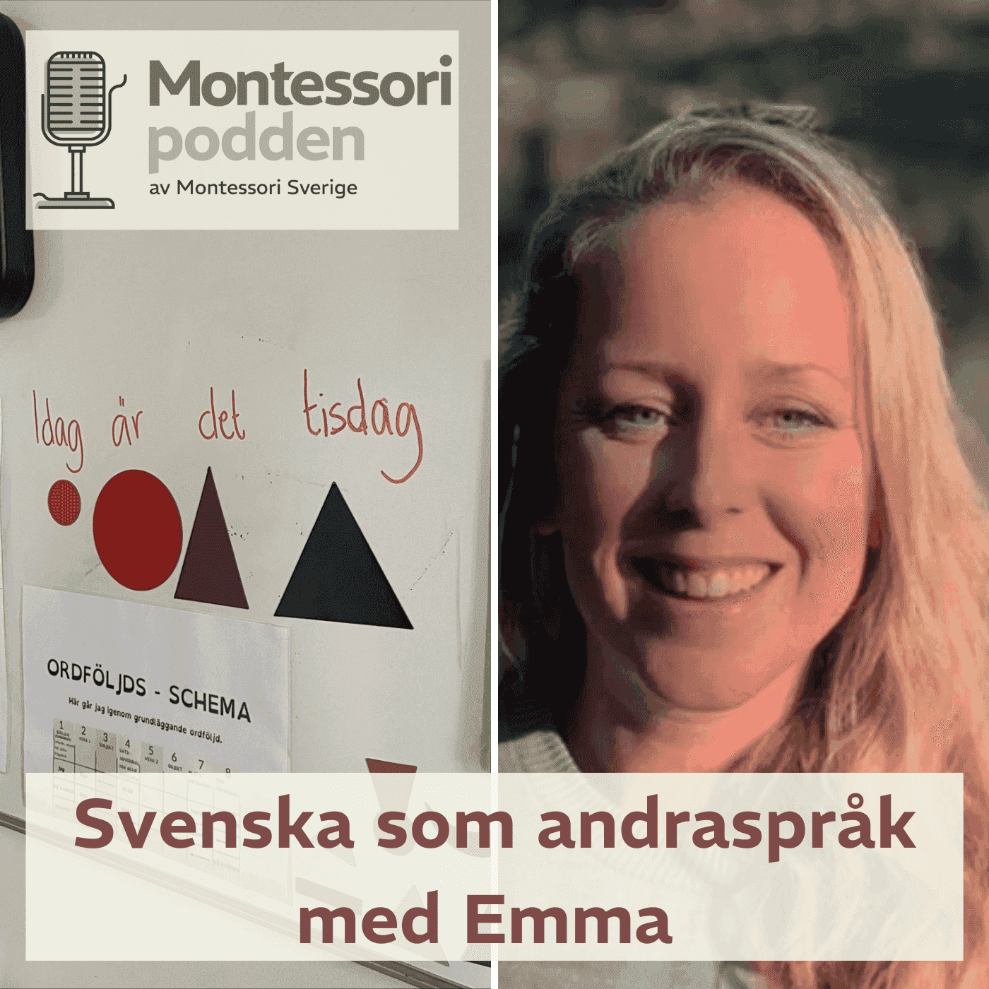 https://pbcdn1.podbean.com/imglogo/ep-logo/pbblog4832745/SVA_-_Montessoripodden8s42b.png