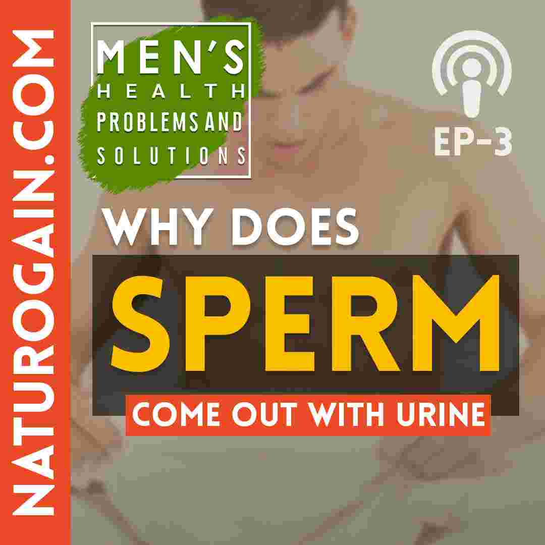 https://pbcdn1.podbean.com/imglogo/ep-logo/pbblog5311328/sperm-comes-out-with-urine.jpg