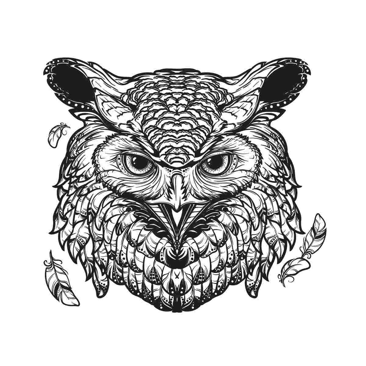 https://pbcdn1.podbean.com/imglogo/ep-logo/pbblog5341094/23Apr13_OwlBox.jpg