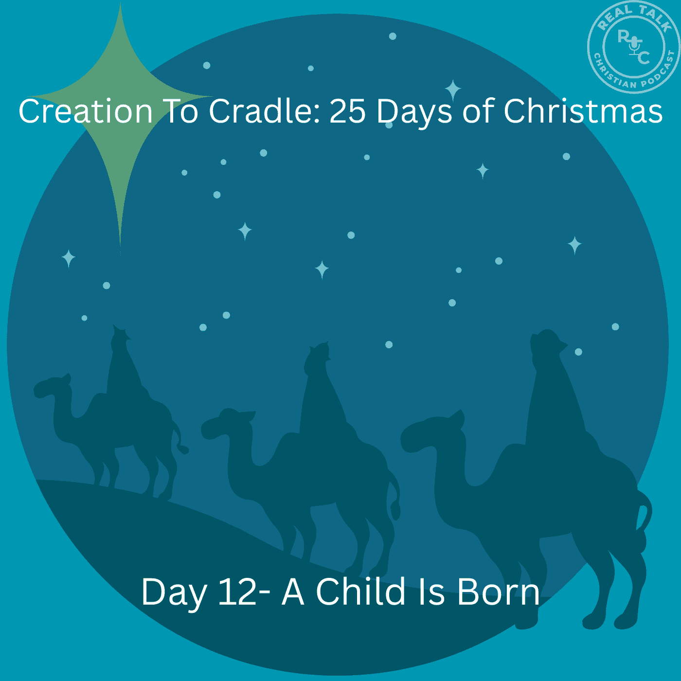 https://pbcdn1.podbean.com/imglogo/ep-logo/pbblog5668827/Creation_To_Cradle_Day_126sw0g.png