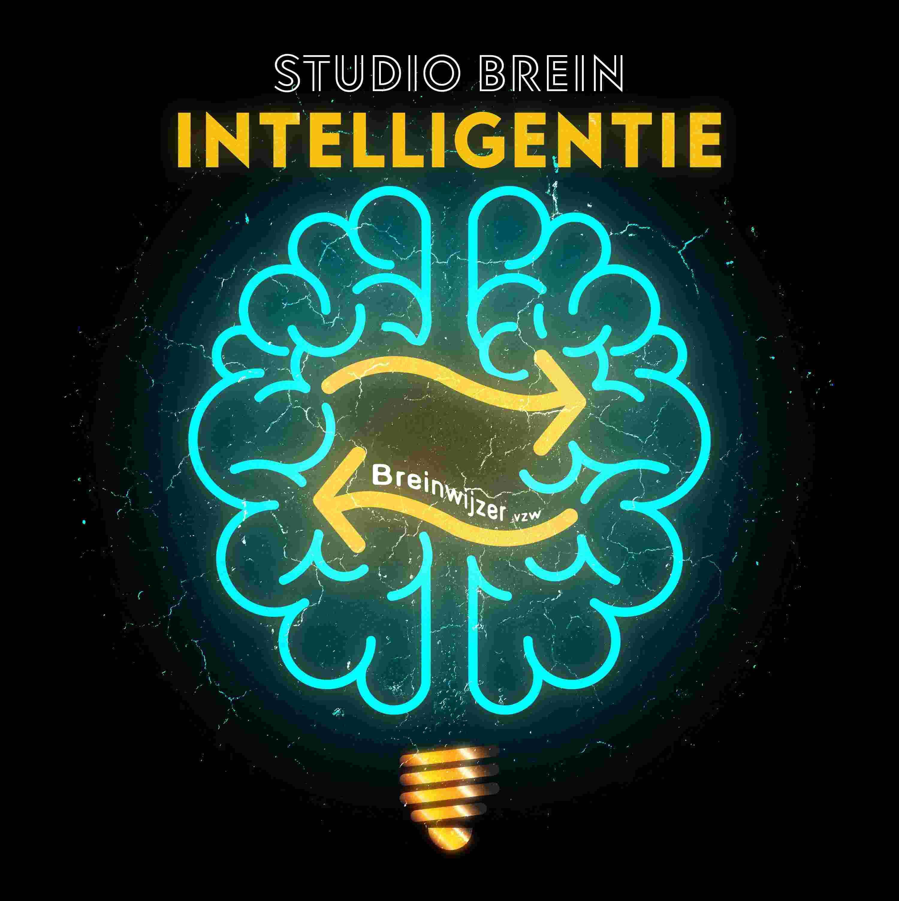 https://pbcdn1.podbean.com/imglogo/ep-logo/pbblog6553772/StudioBrein_tegelklein_Intelligentie.jpg