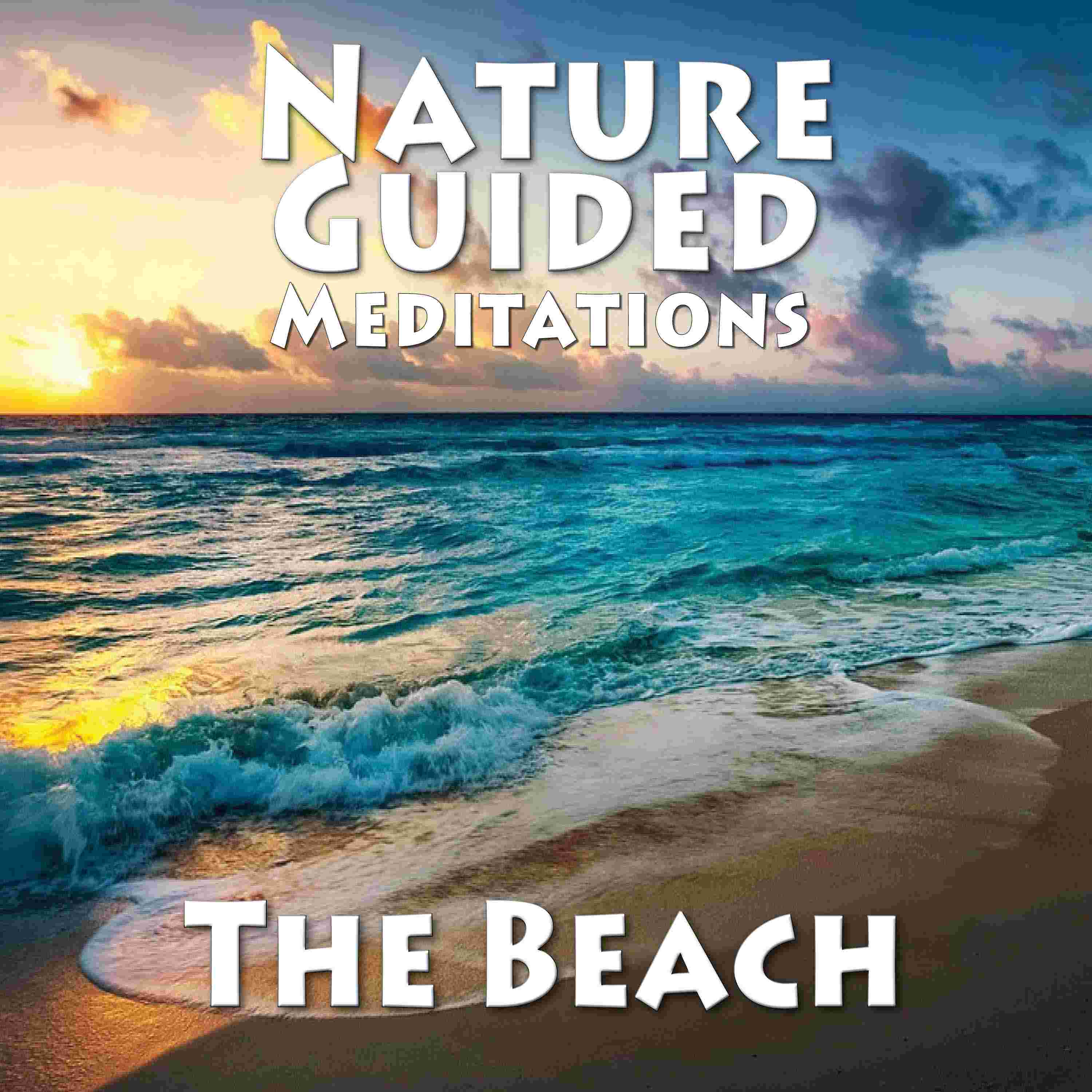 https://pbcdn1.podbean.com/imglogo/ep-logo/pbblog6720039/NGM_beach.jpg