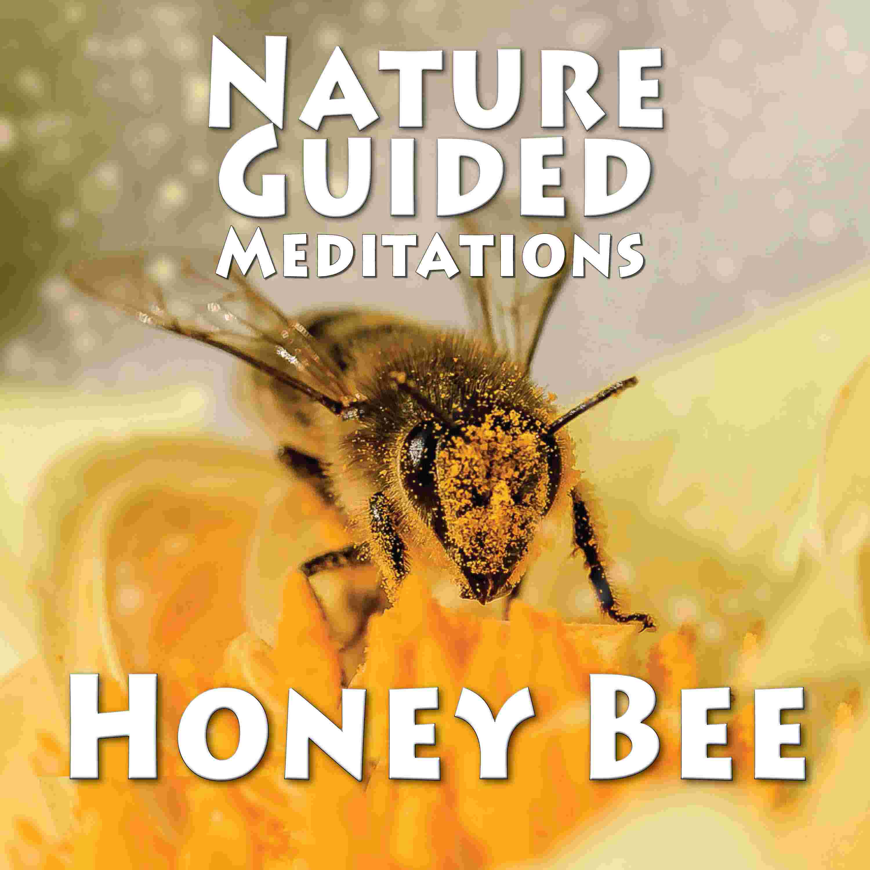 https://pbcdn1.podbean.com/imglogo/ep-logo/pbblog6720039/NGM_honeybee.jpg