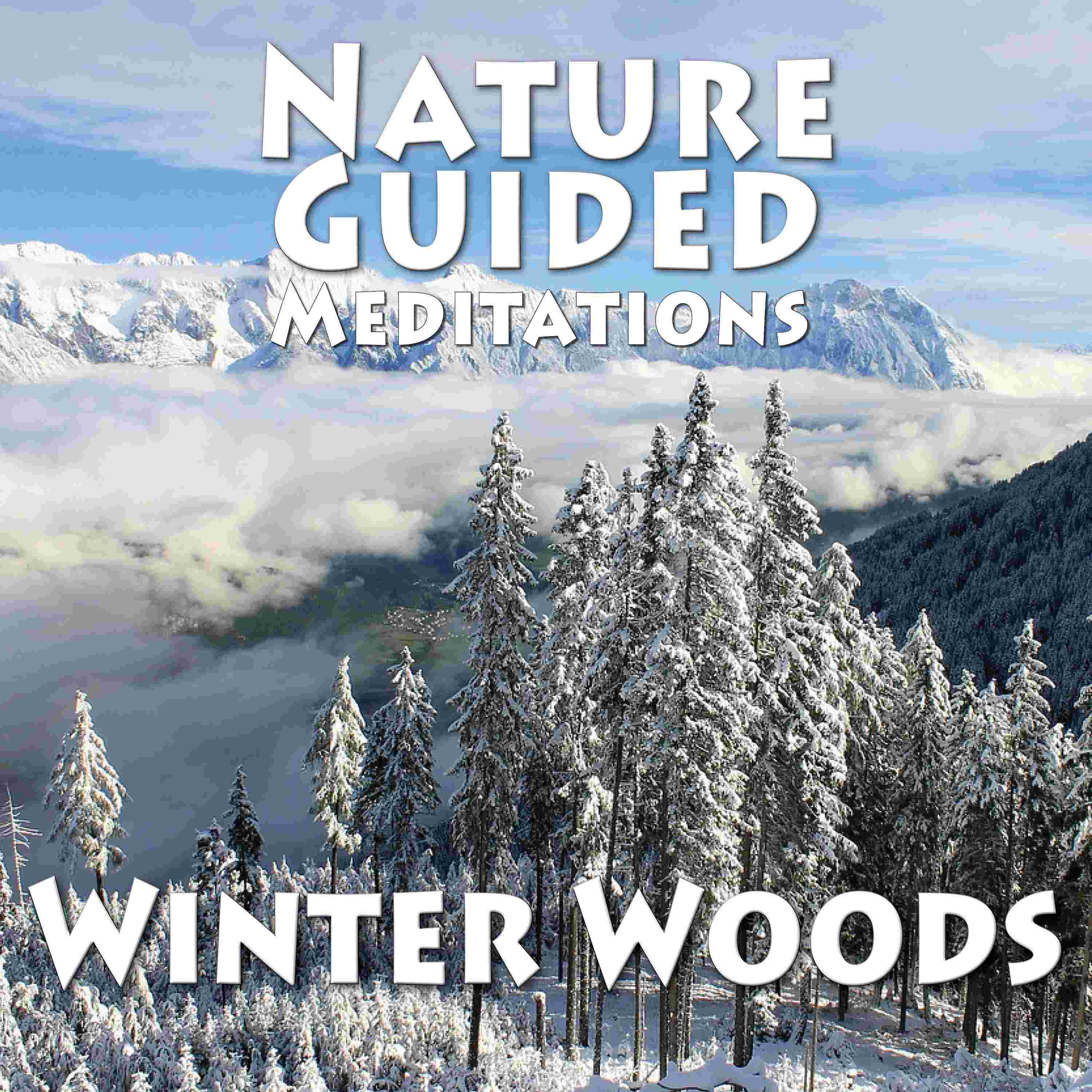 https://pbcdn1.podbean.com/imglogo/ep-logo/pbblog6720039/NGM_winterwoods.jpg