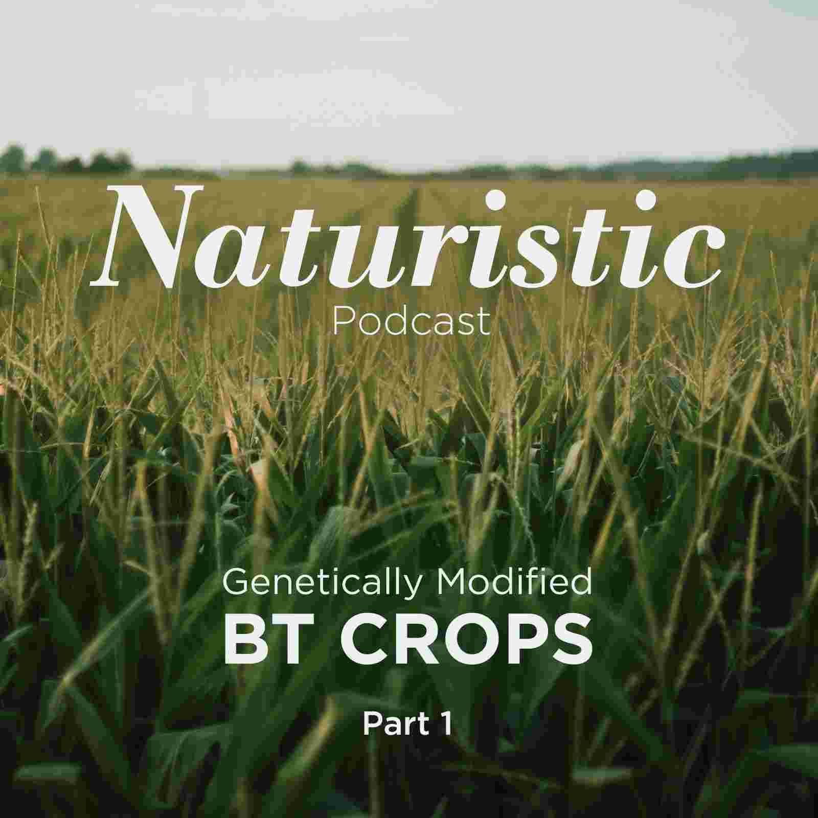 https://pbcdn1.podbean.com/imglogo/ep-logo/pbblog9165524/naturistic-podcast-ep-3-image-pt-1.jpg