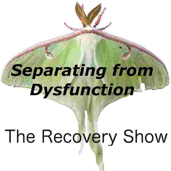 https://podcast.therecoveryshow.com/428-separating.jpg