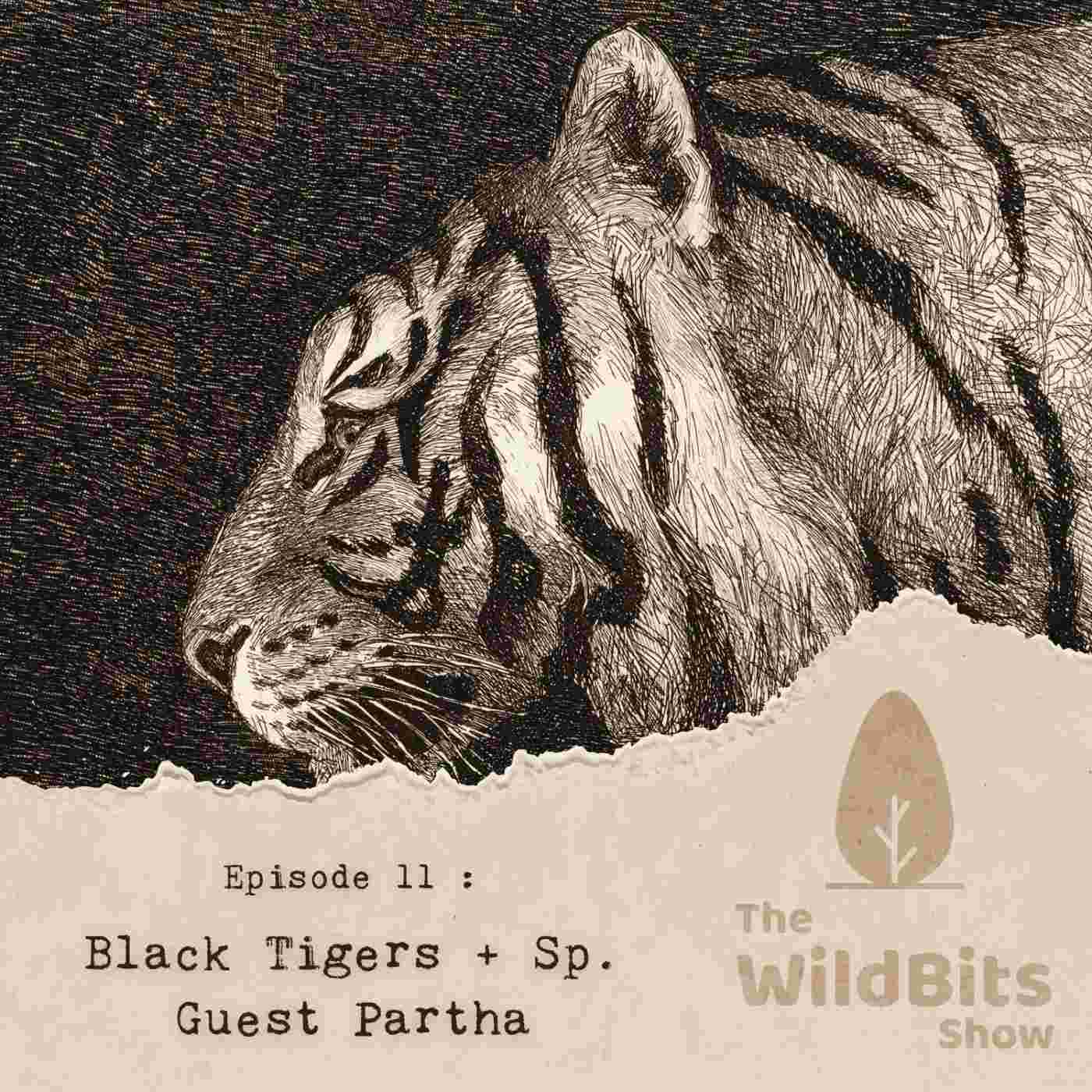 https://podcast.upamanyu.in/media/podcasts/thewildbitsprod/black-tigers-sp-guest-partha_feed.jpg