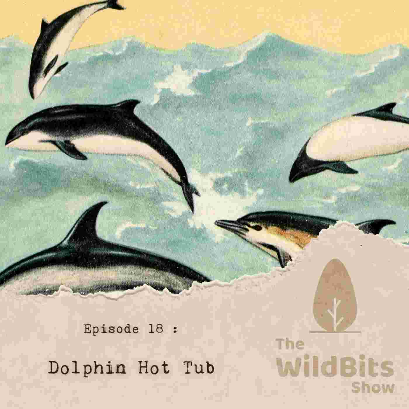 https://podcast.upamanyu.in/media/podcasts/thewildbitsprod/dolphin-hot-tub_feed.jpg
