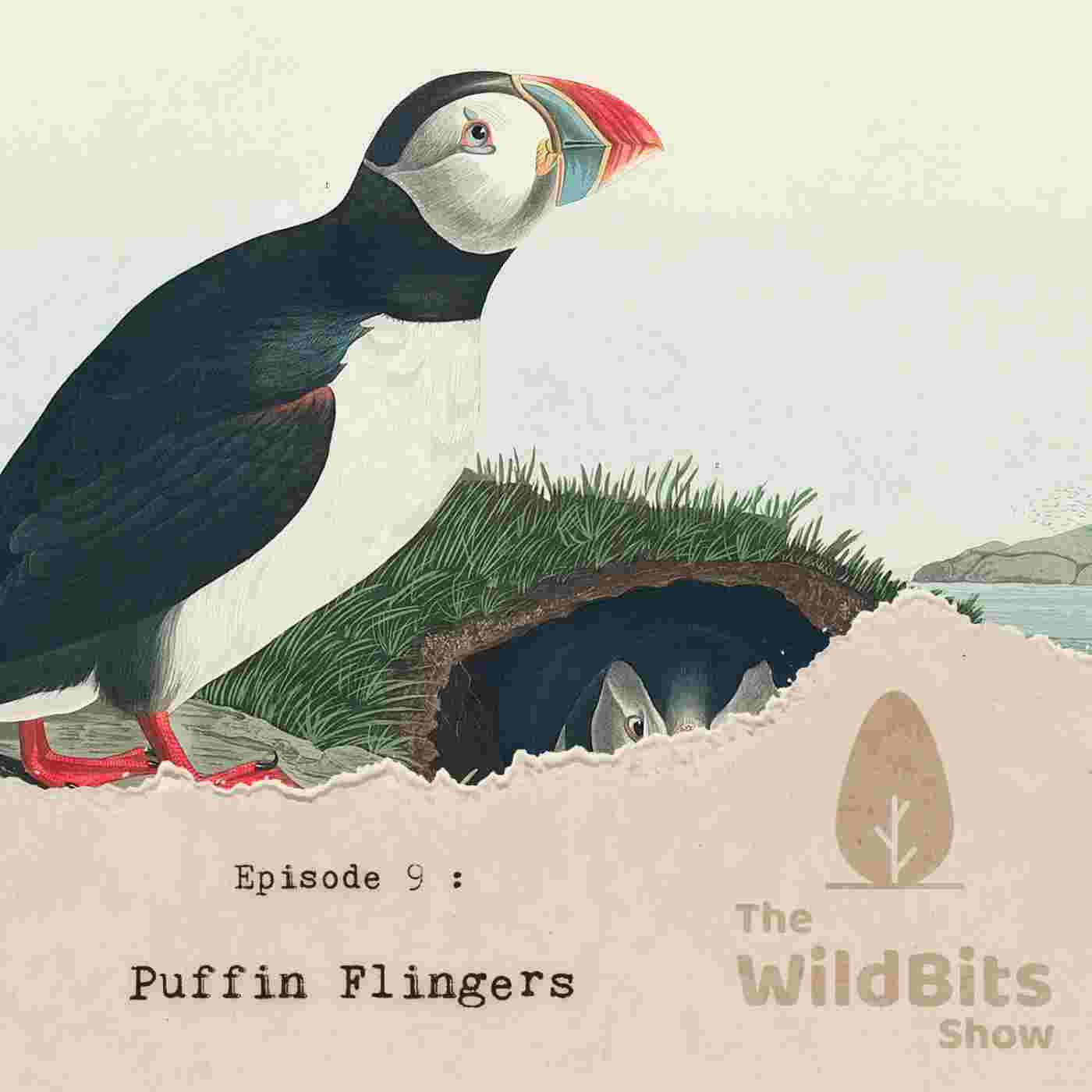 https://podcast.upamanyu.in/media/podcasts/thewildbitsprod/puffin-flingers_feed.jpg