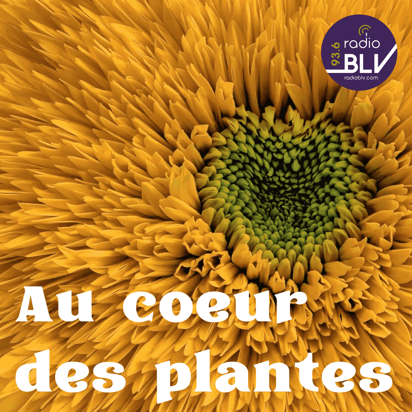 https://podcasts.radioblv.com/media/podcasts/au_coeur_des_plantes/cover_feed.png