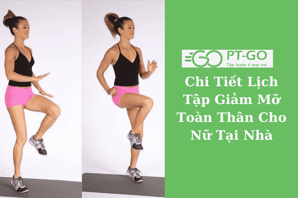 https://ptgo.vn/wp-content/uploads/2022/08/lich-tap-gym-cho-nu-giam-can.png