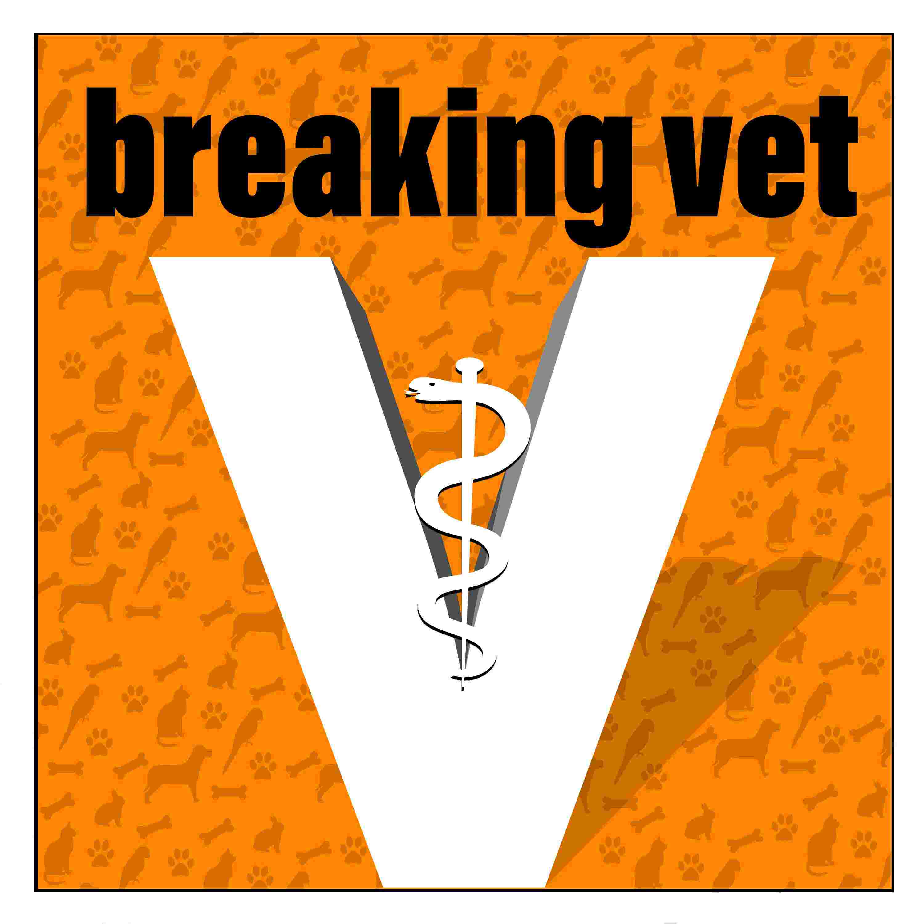 https://qvueex.podcaster.de/breakingvet/logos/BV_Kopie_4_neu_klein.jpg