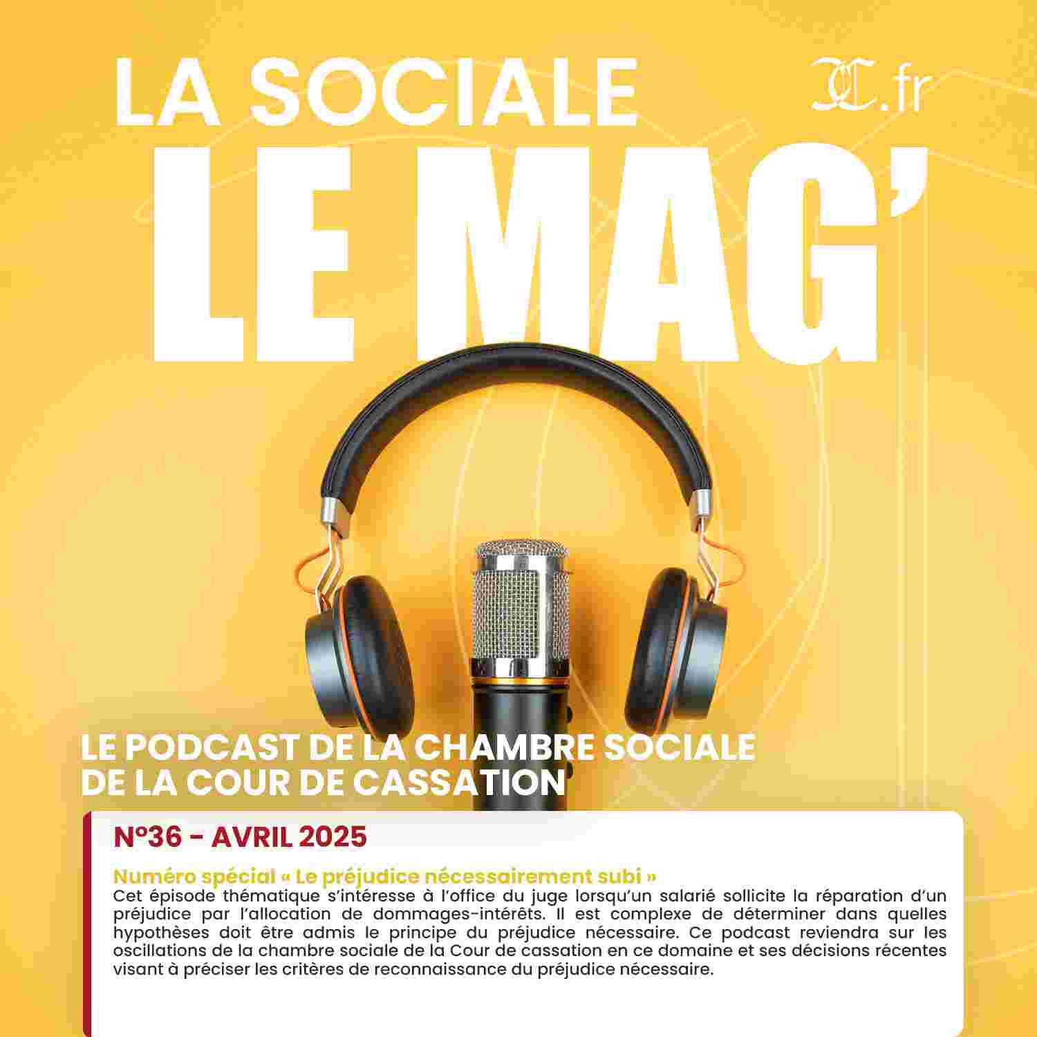 https://radio.amicus-curiae.net/wp-content/uploads/2025/04/minia_LaSocialeLeMag_36.jpg