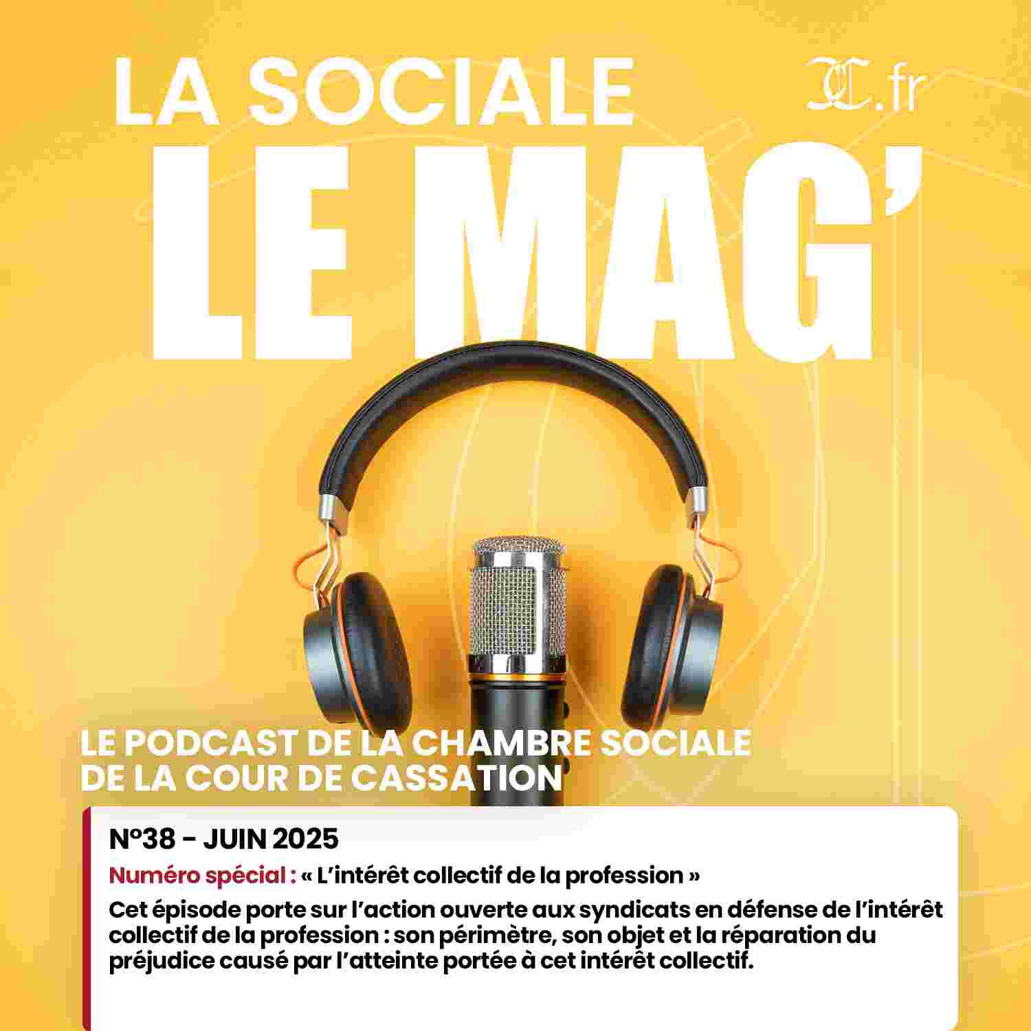 https://radio.amicus-curiae.net/wp-content/uploads/2025/06/minia_LaSocialeLeMag_38.jpg