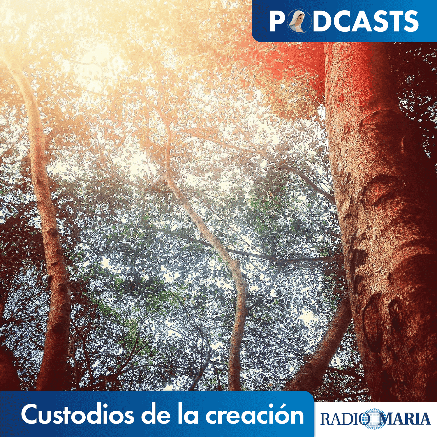 https://radiomaria.es/wp-content/uploads/2021/07/Custodios-de-la-creación_Podcast.png