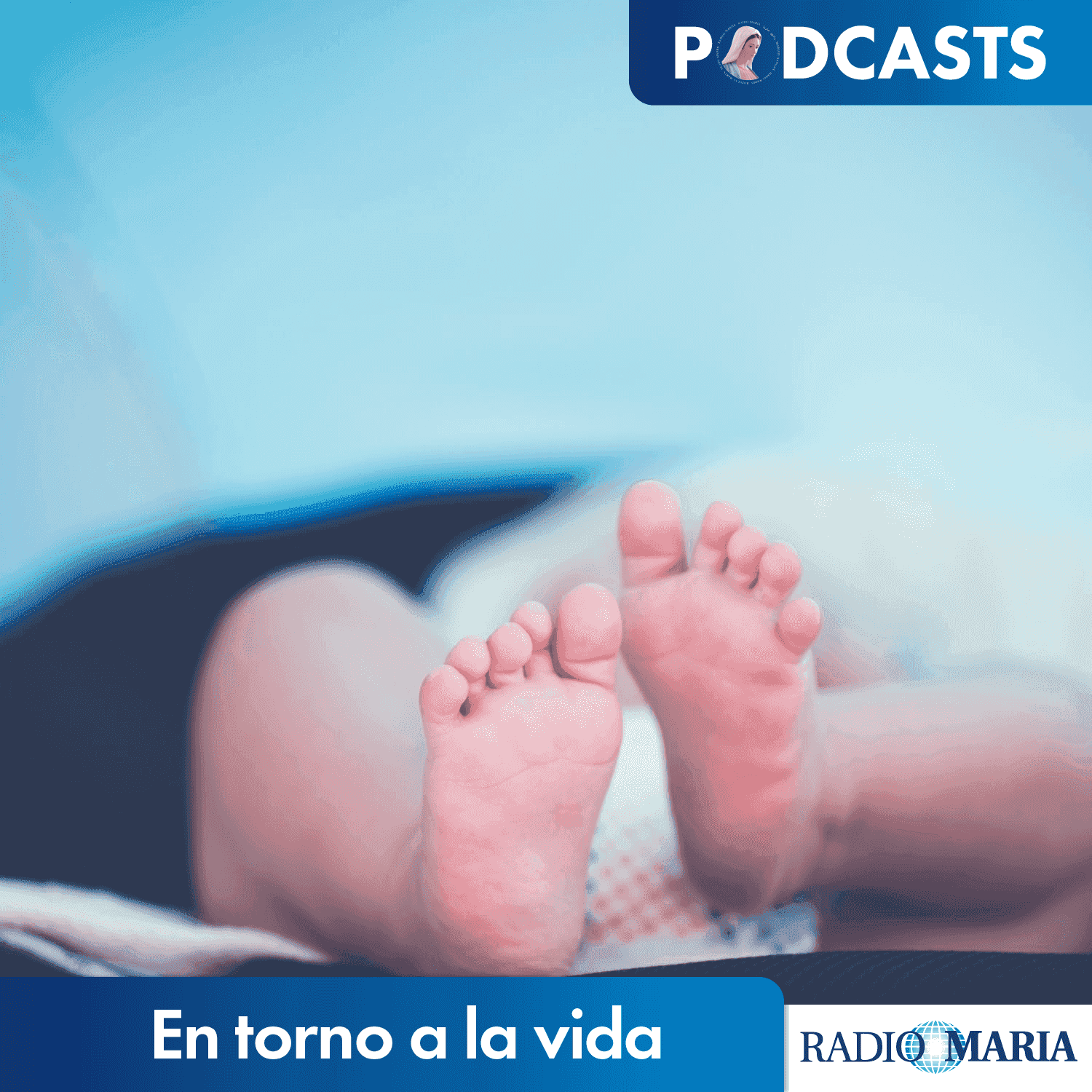https://radiomaria.es/wp-content/uploads/2021/07/En-torno-a-la-vida_Podcast.png