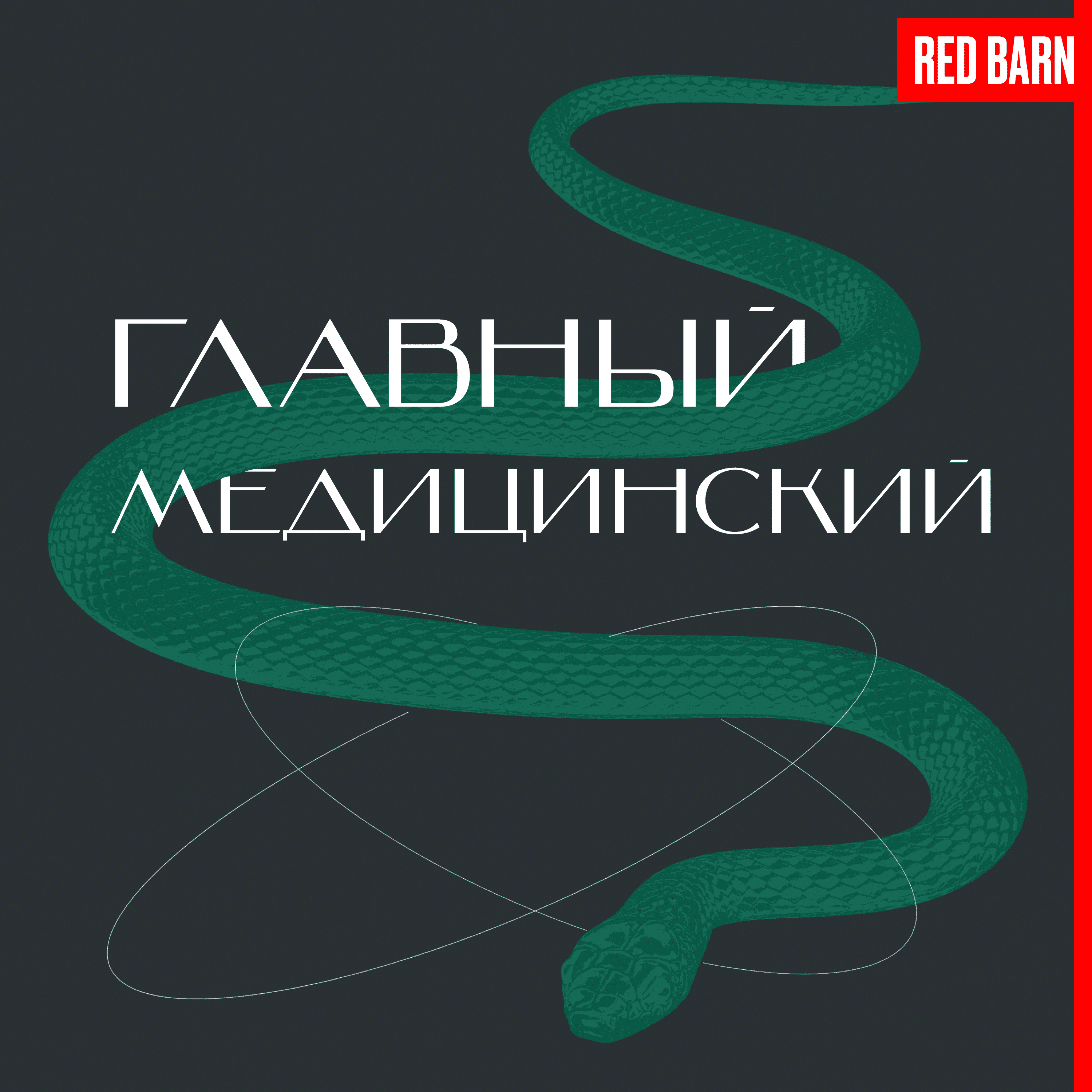 https://redbarn.ru/wp-content/uploads/2023/11/glavnyj-meditsinskij_3000_bezreka.png