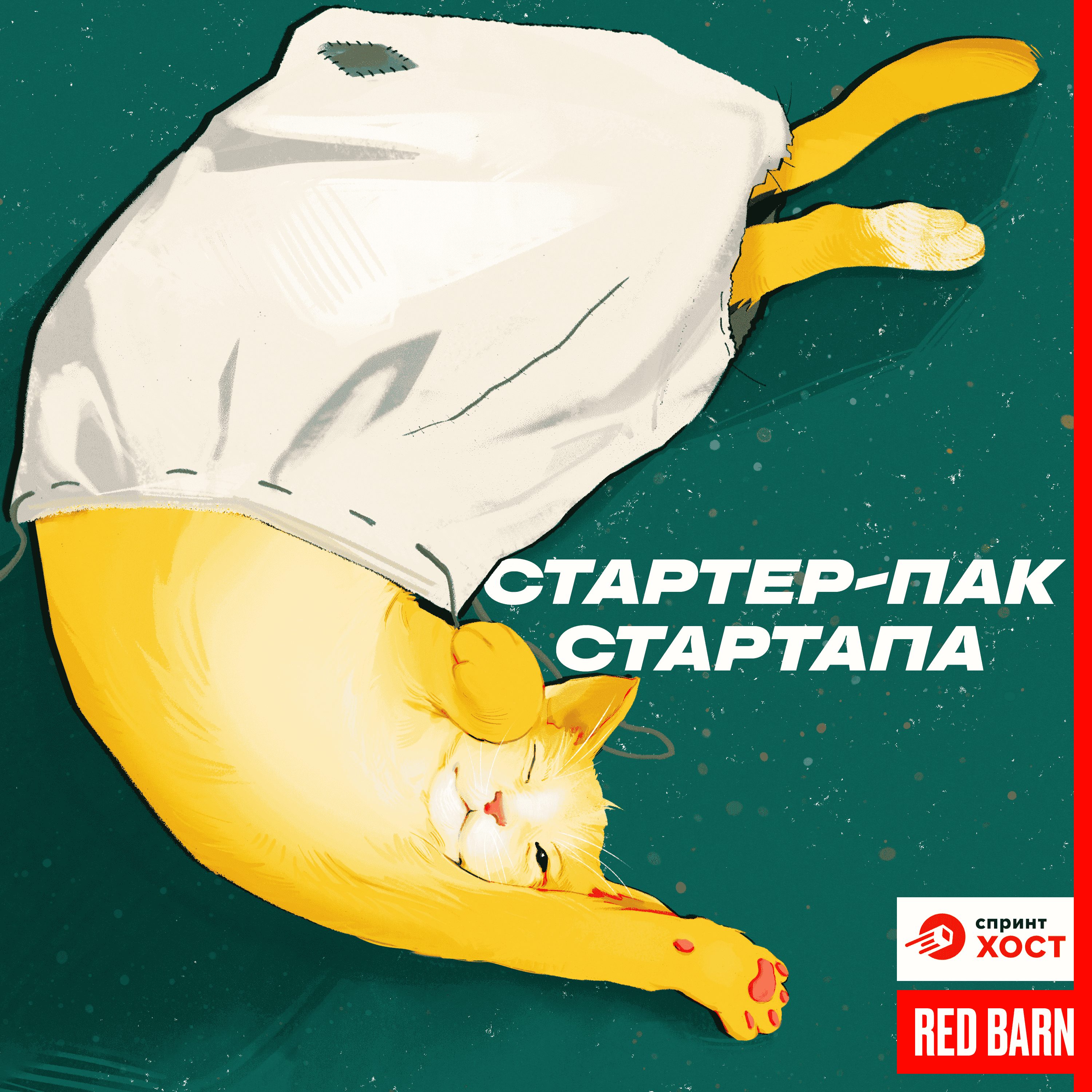 https://redbarn.ru/wp-content/uploads/2023/12/starter-pak-startapa-3000-belyj.png