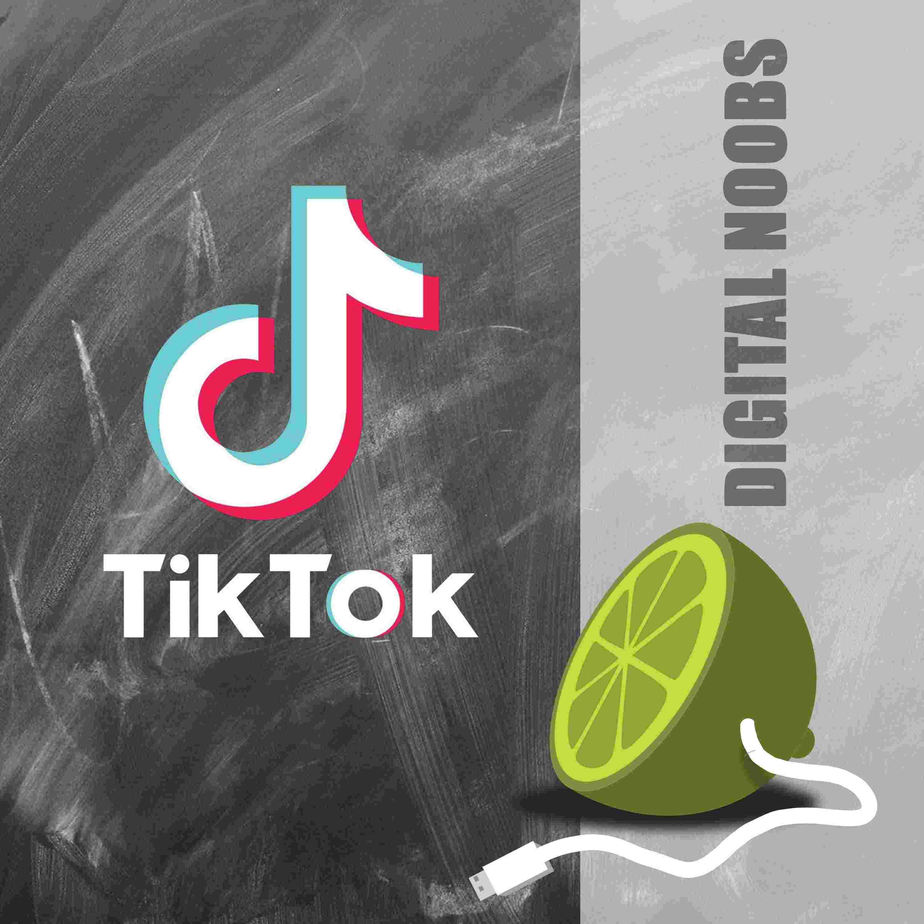 https://se7thv.podcaster.de/digitalnoobs/logos/dpn-logo-tiktok.jpg