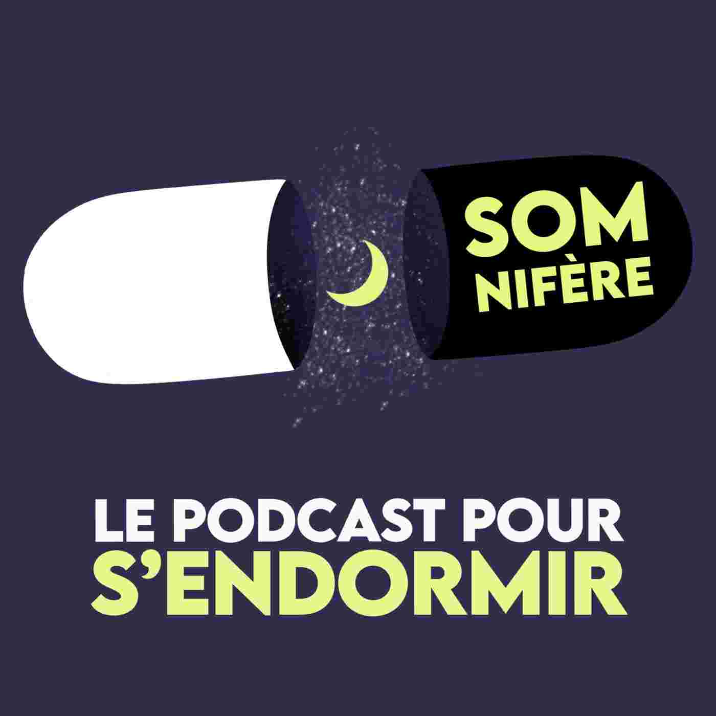 https://static.audiomeans.fr/img/podcast/f5371c00-db8d-4408-8b70-917431b14fa7.jpg