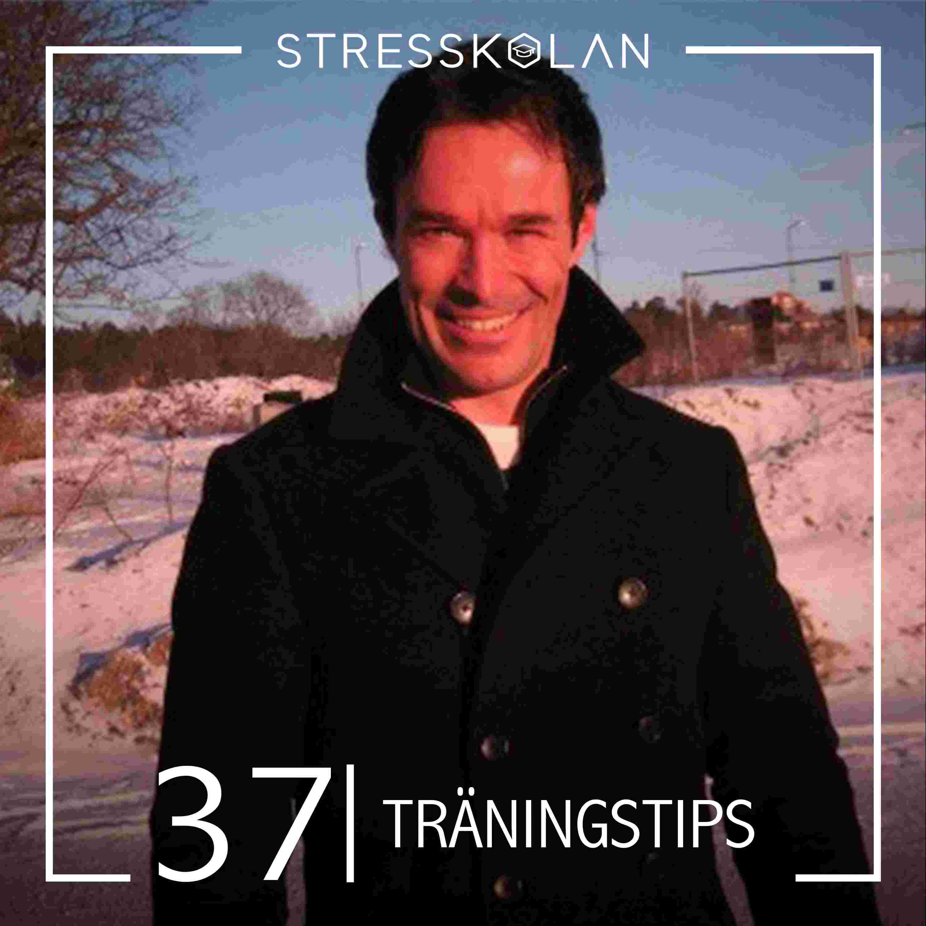 https://static.libsyn.com/p/assets/0/4/a/4/04a4763c3e52368a/Stresskolan377.avsnitt.jpg