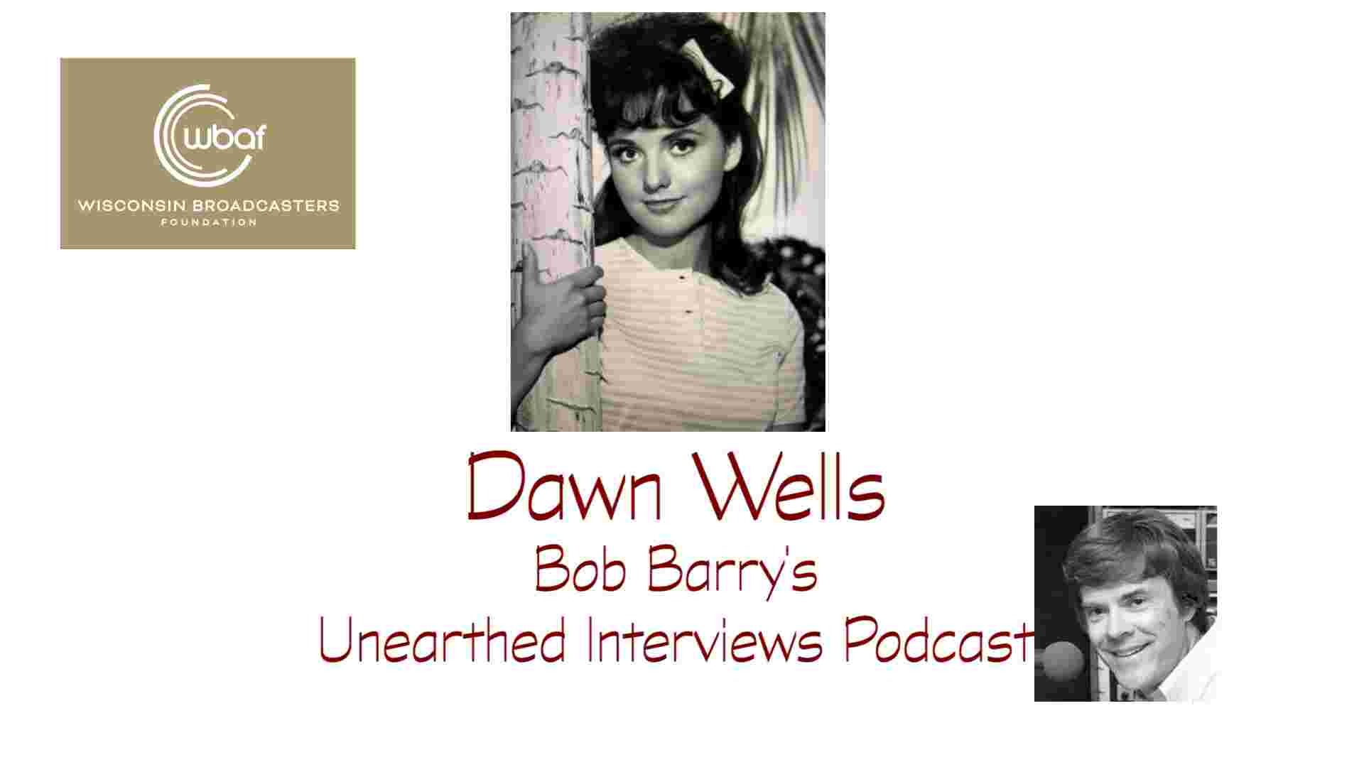 https://static.libsyn.com/p/assets/2/7/a/4/27a450282546363316c3140a3186d450/310_-_Dawn_Wells.jpg