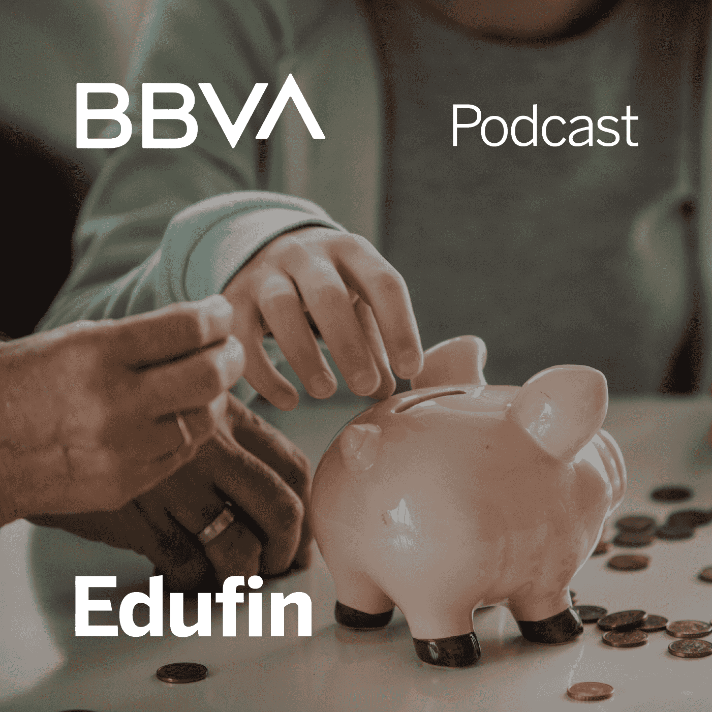 https://static.libsyn.com/p/assets/5/4/e/e/54ee2c6d0213421c/Edufin_BBVA_Podcast_1400x1400.png