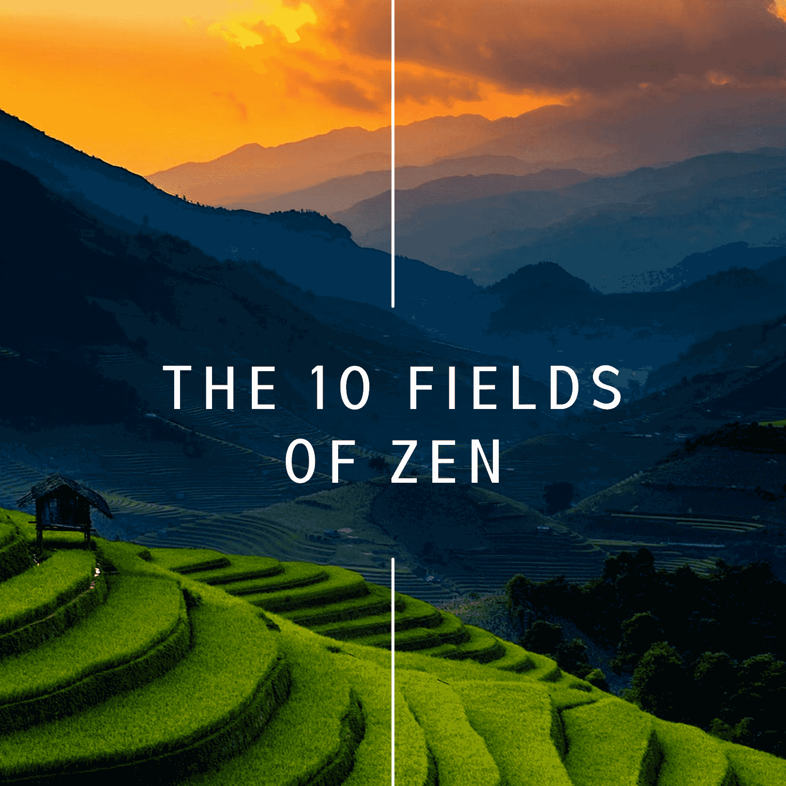 https://static.libsyn.com/p/assets/5/f/4/d/5f4d9eed54fb752b16c3140a3186d450/10-FIELDS-OF-ZEN.png