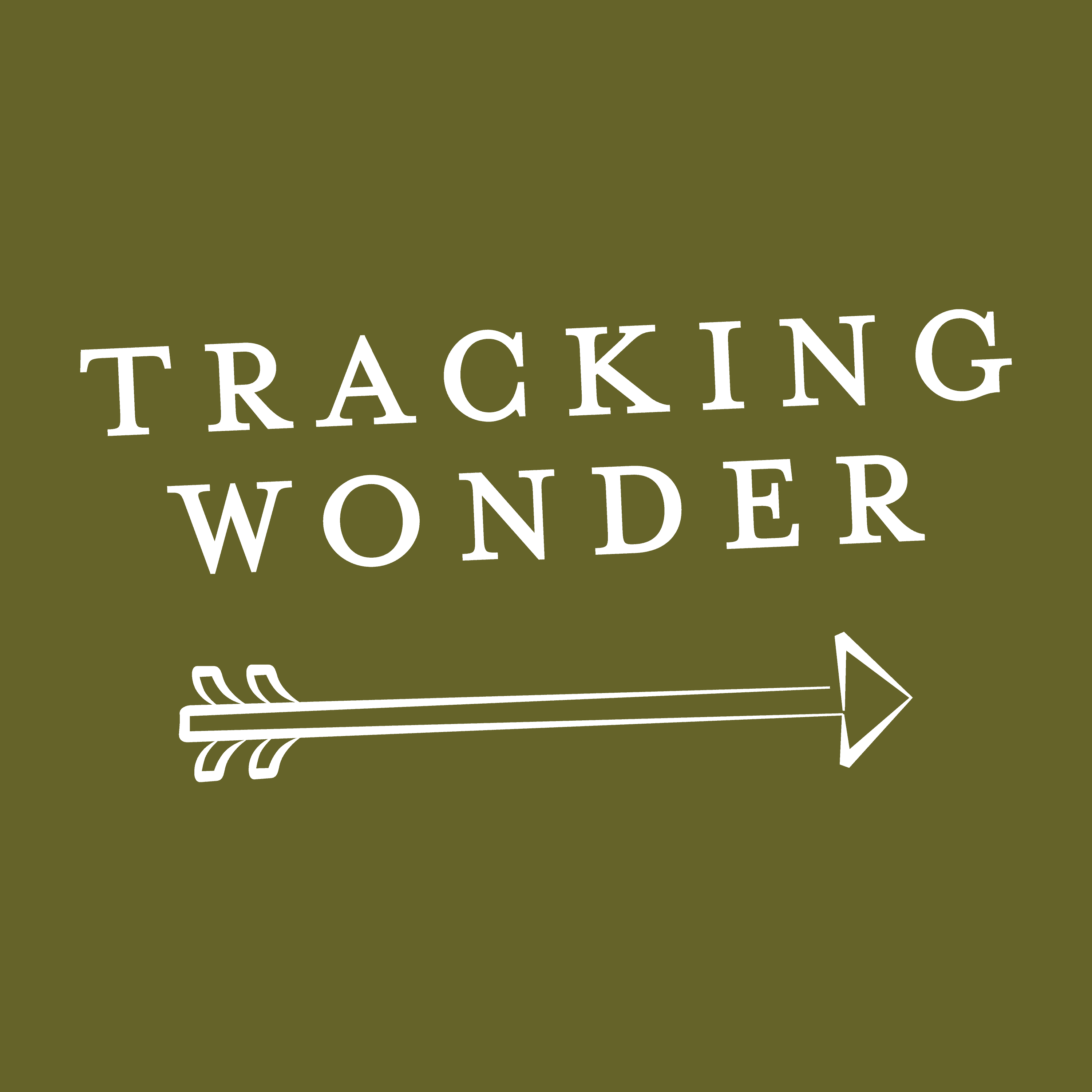 https://static.libsyn.com/p/assets/7/f/0/9/7f09aa20fe636e5a/Tracking_Wonder-S3EP3-FINAL.png