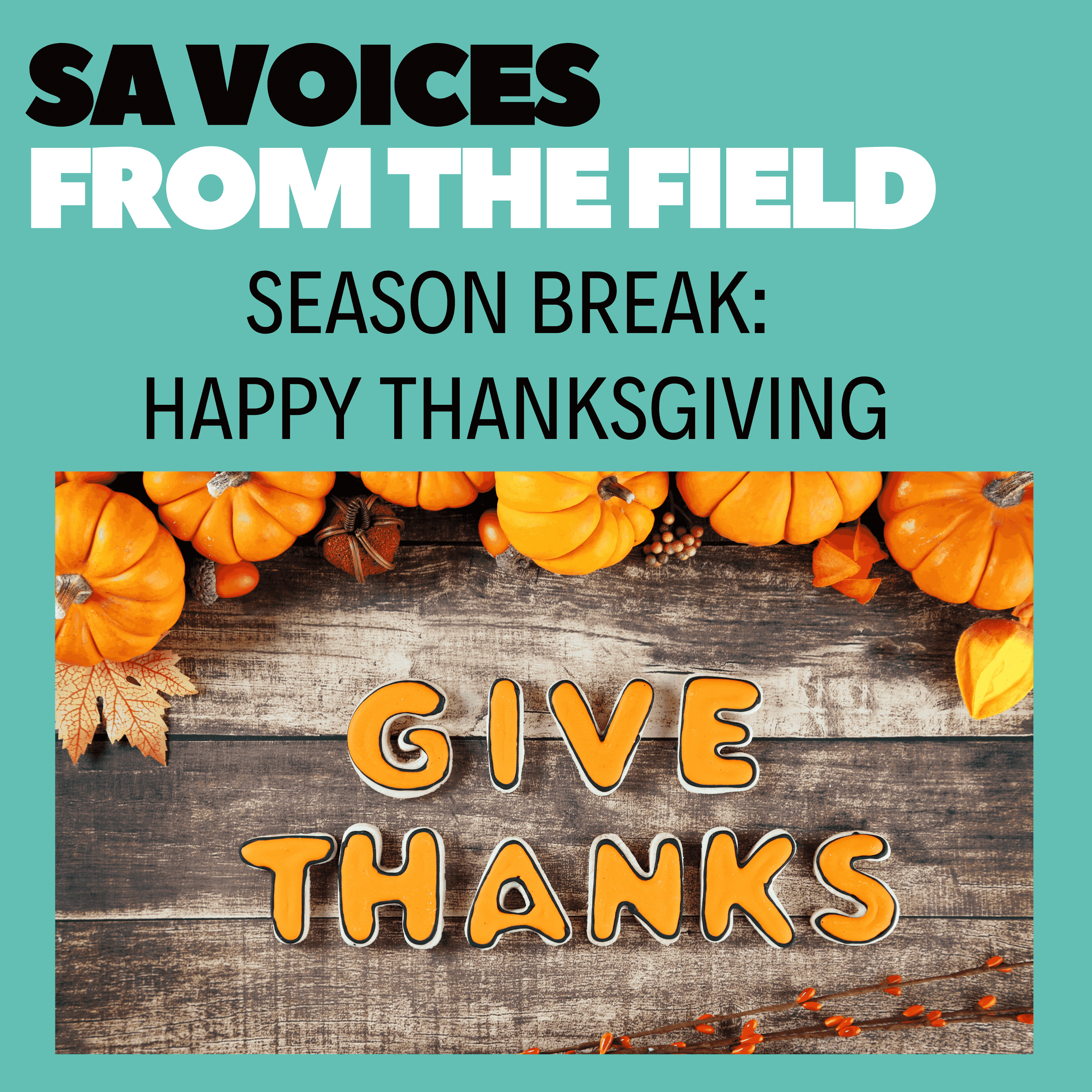 https://static.libsyn.com/p/assets/8/1/0/3/810342fe8850dcba16c3140a3186d450/S13ThanksBreak.png