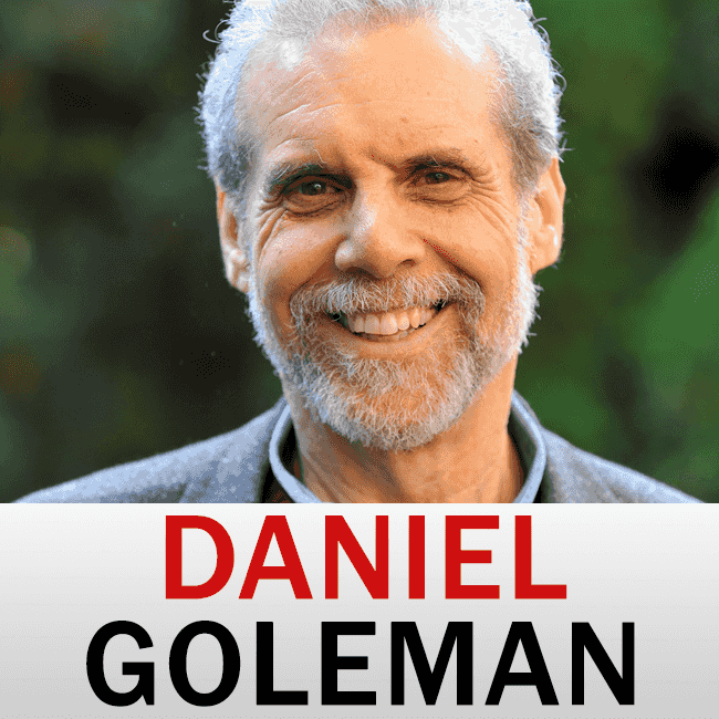 https://static.libsyn.com/p/assets/9/2/5/d/925d221b8cb087da/daniel_goleman_insidemastery_1.png