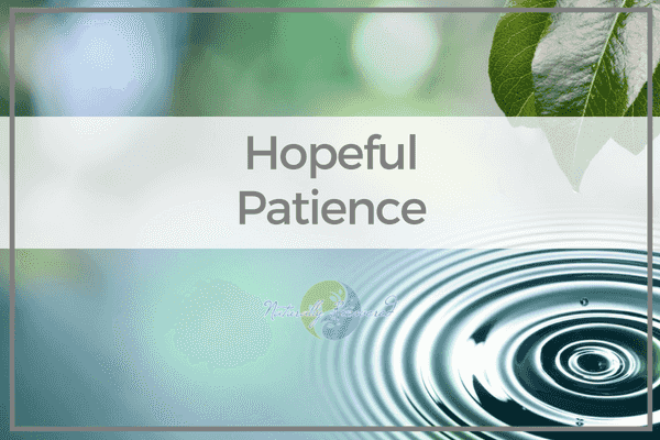 https://static.libsyn.com/p/assets/a/9/9/f/a99f863b576ed576/78_-_Hopeful_Patience.png
