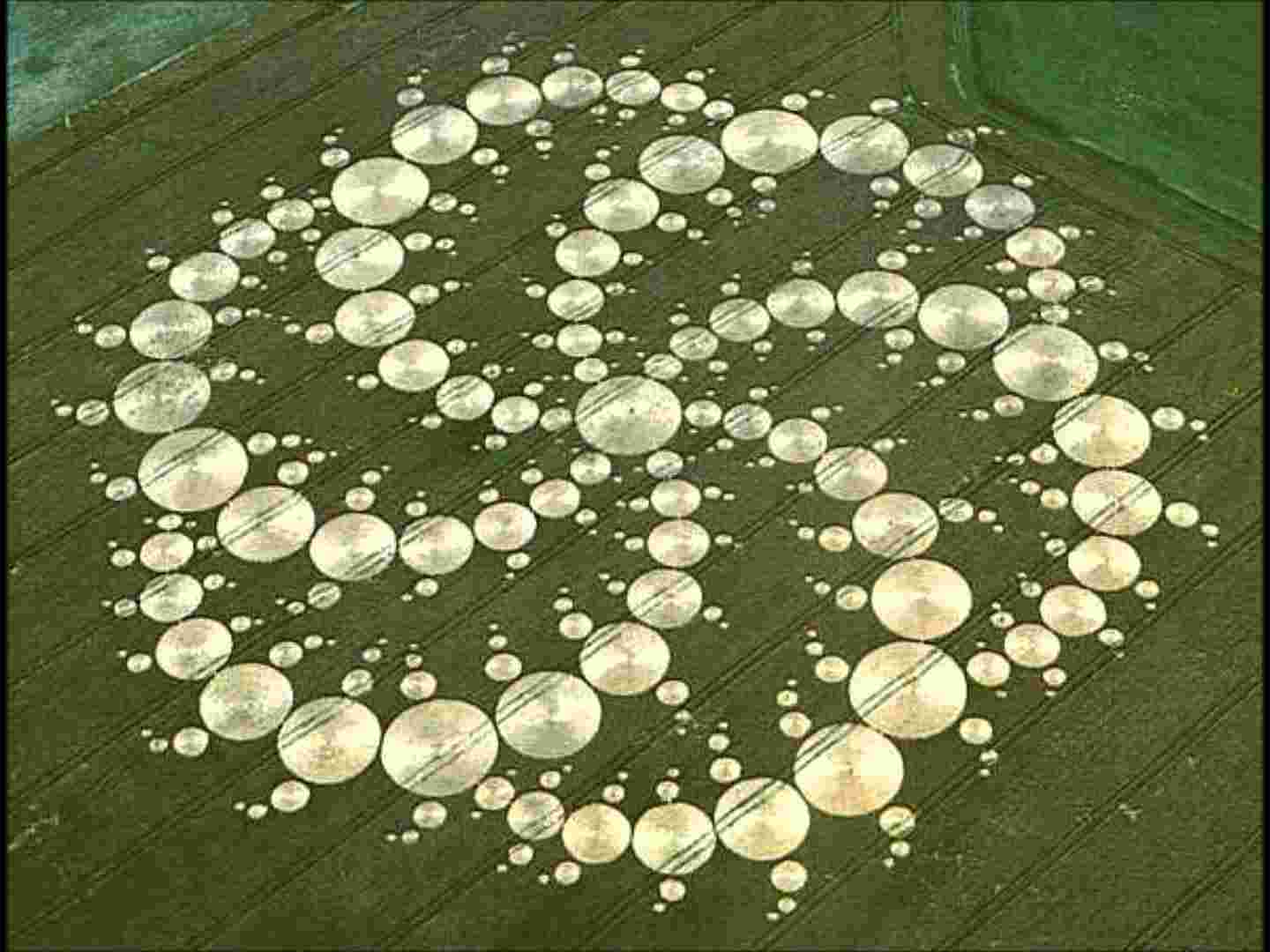 https://static.libsyn.com/p/assets/d/8/7/8/d878a2b88d7f9b7927a2322813b393ee/CropCircle_larger.jpg
