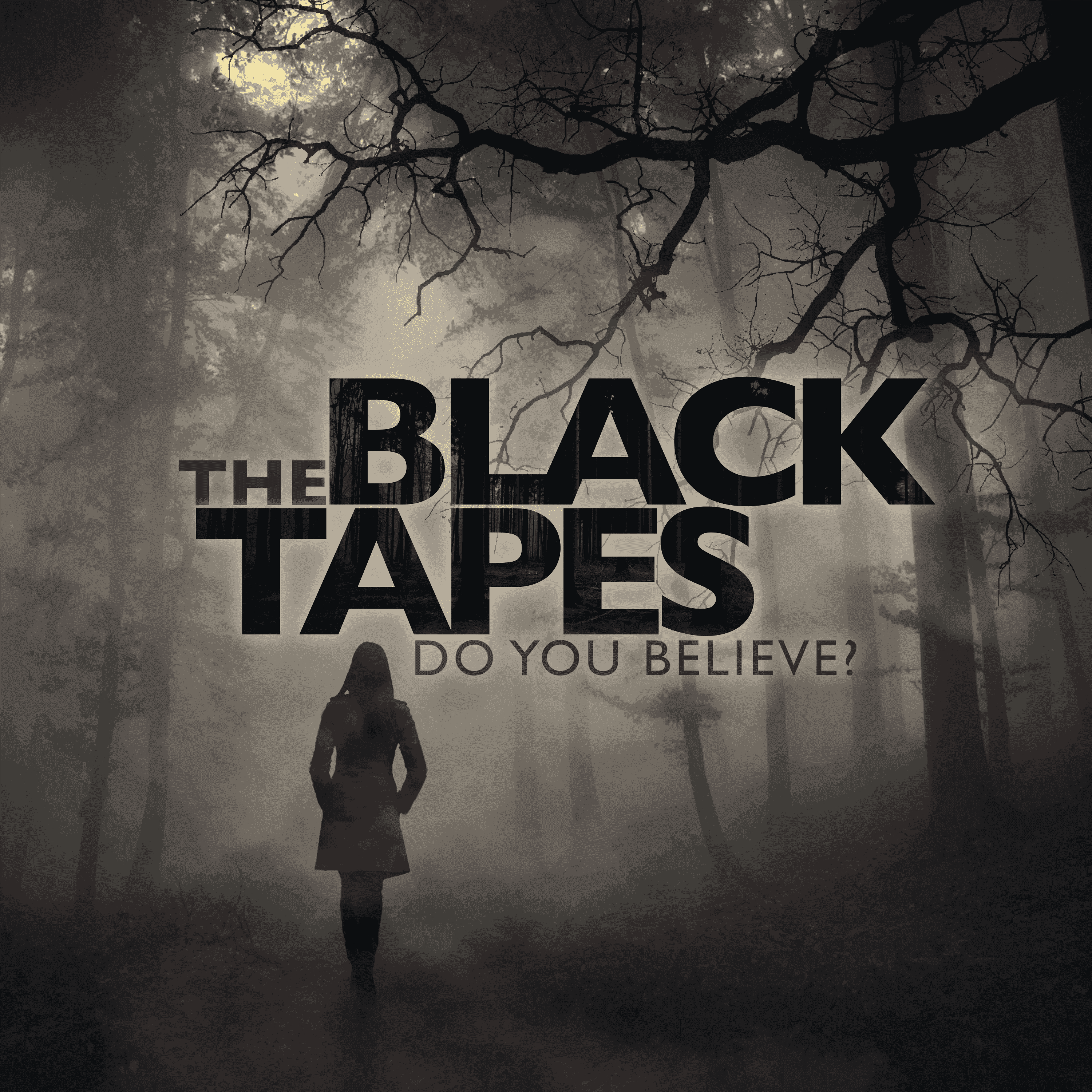 https://static.libsyn.com/p/assets/e/5/2/f/e52f288ea81ca853/THE-BLACK-TAPES-ICON-2016.png