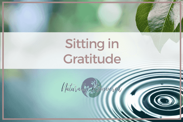 https://static.libsyn.com/p/assets/f/4/6/3/f463a3846f4419ac/95_-_Sitting_in_Gratitude.png