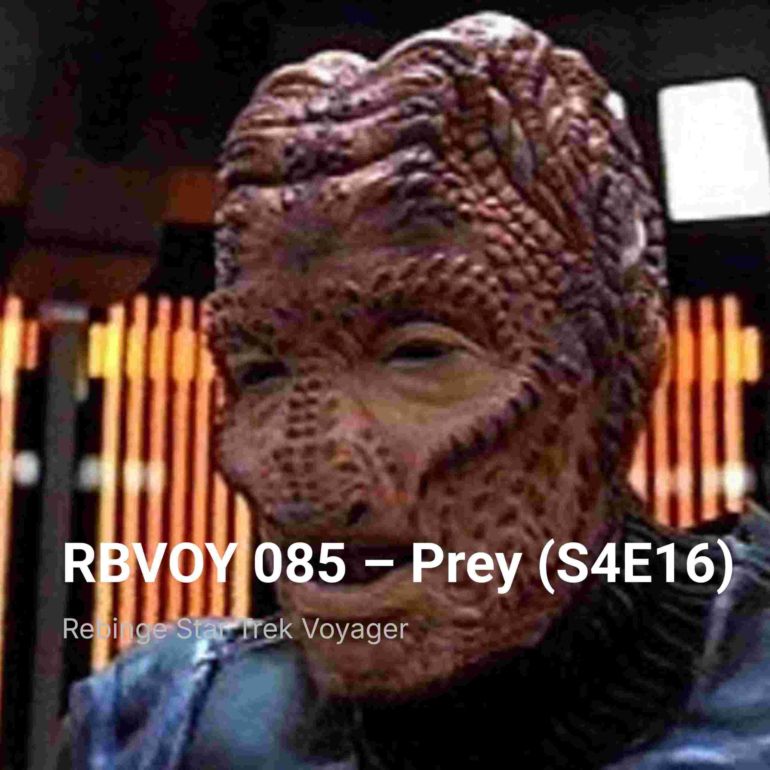 https://talkthroughmedia.com/wp-content/uploads/2025/12/rbvoy-085-prey-s4e16-cover-scaled.jpg