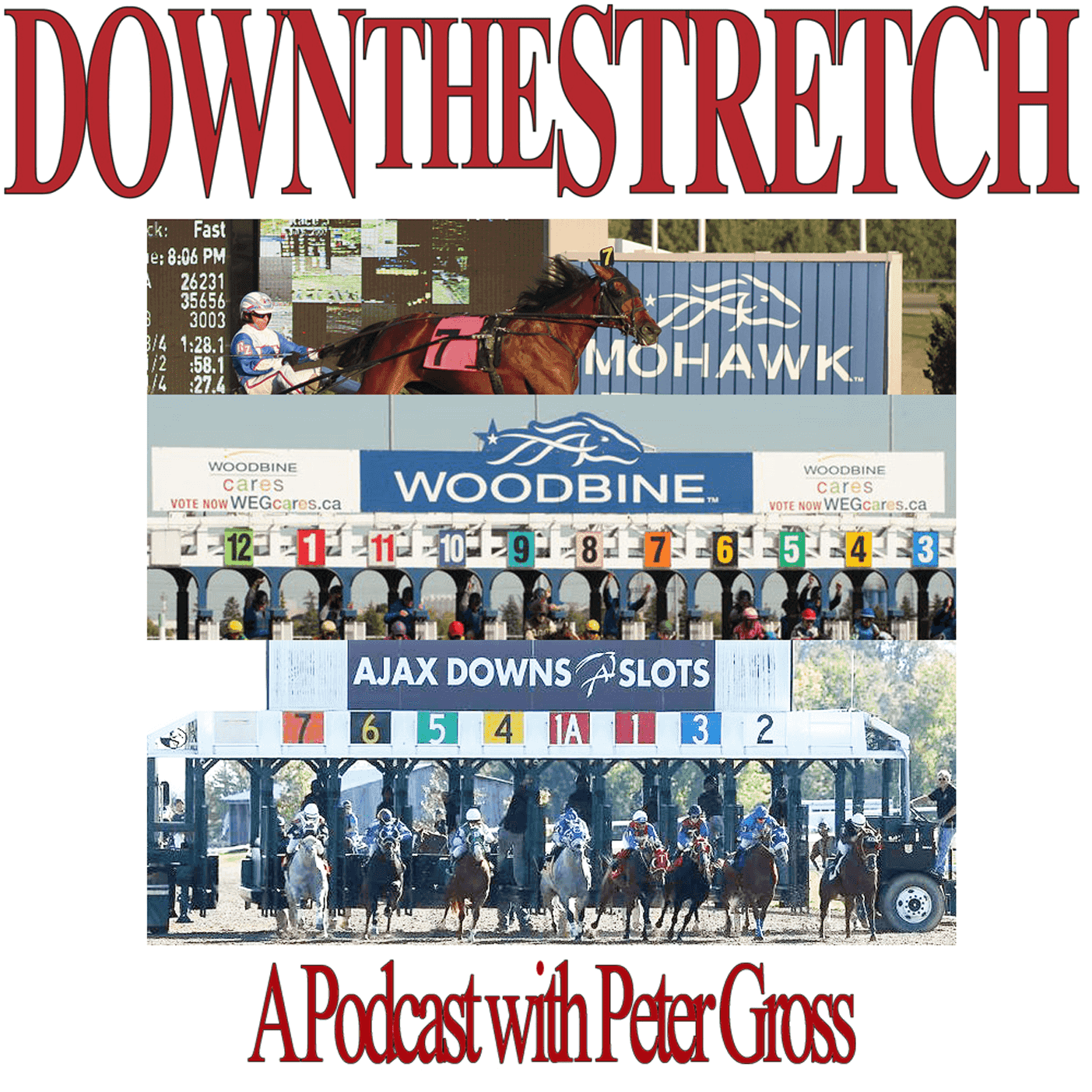 https://torontomike.podcastaccelerator.com/down-the-stretch.png